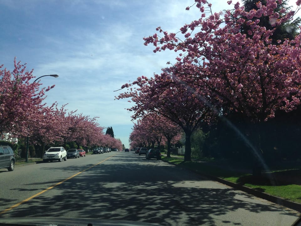 Neighbourhood in spring