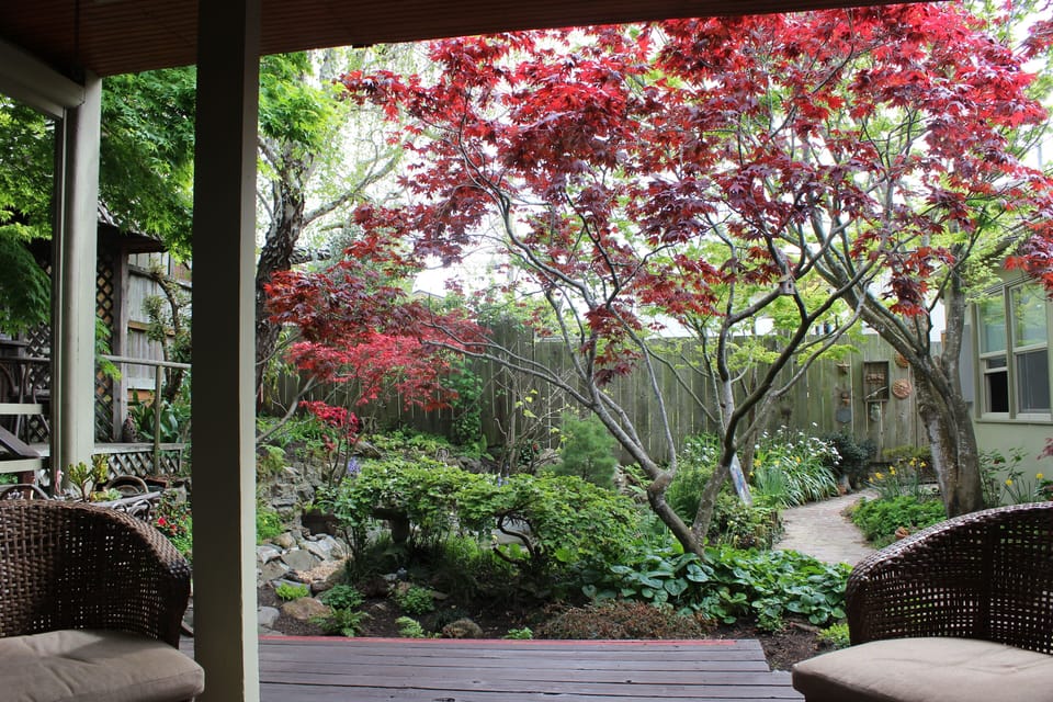Secluded Backyard Garden

