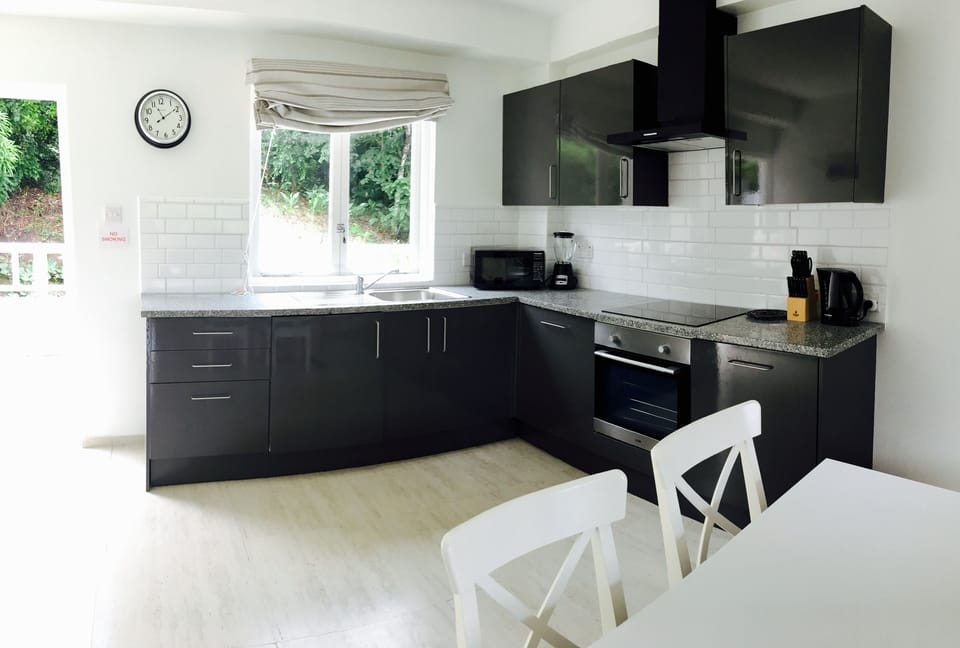 Your kitchen with dishwasher and washing machine all built in 