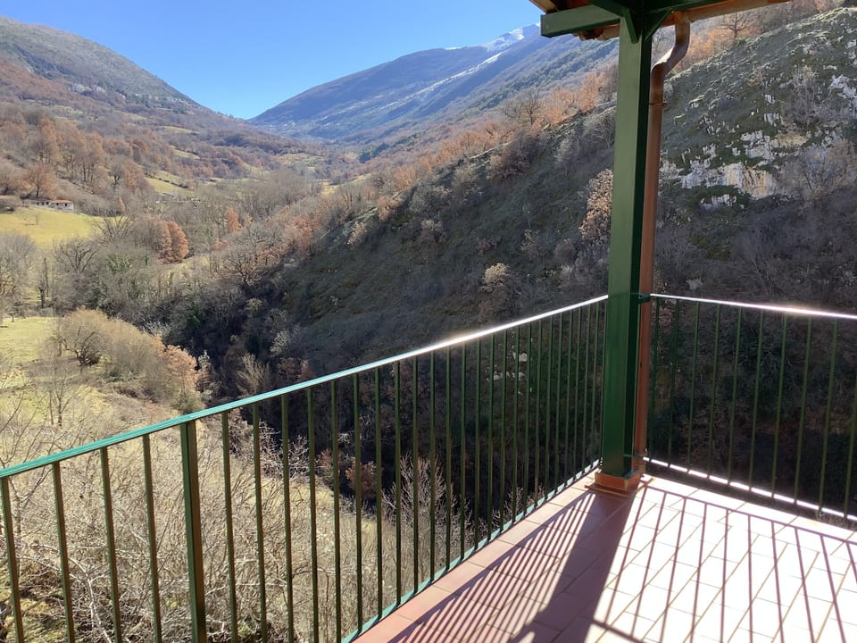View from the terrace
