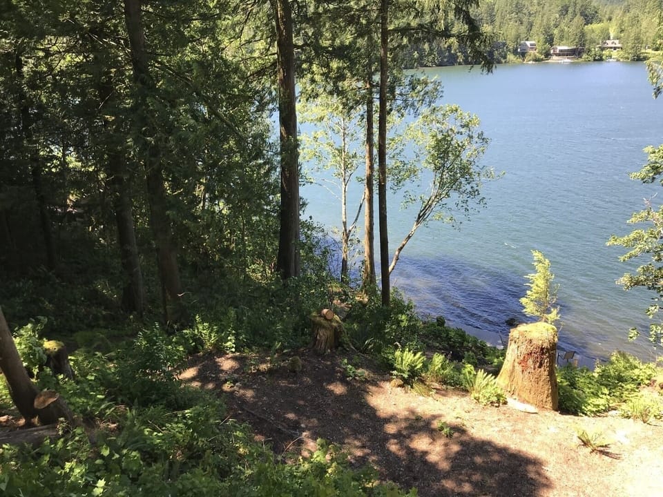 Nature, Outdoors, Scenery, Tree, Vegetation