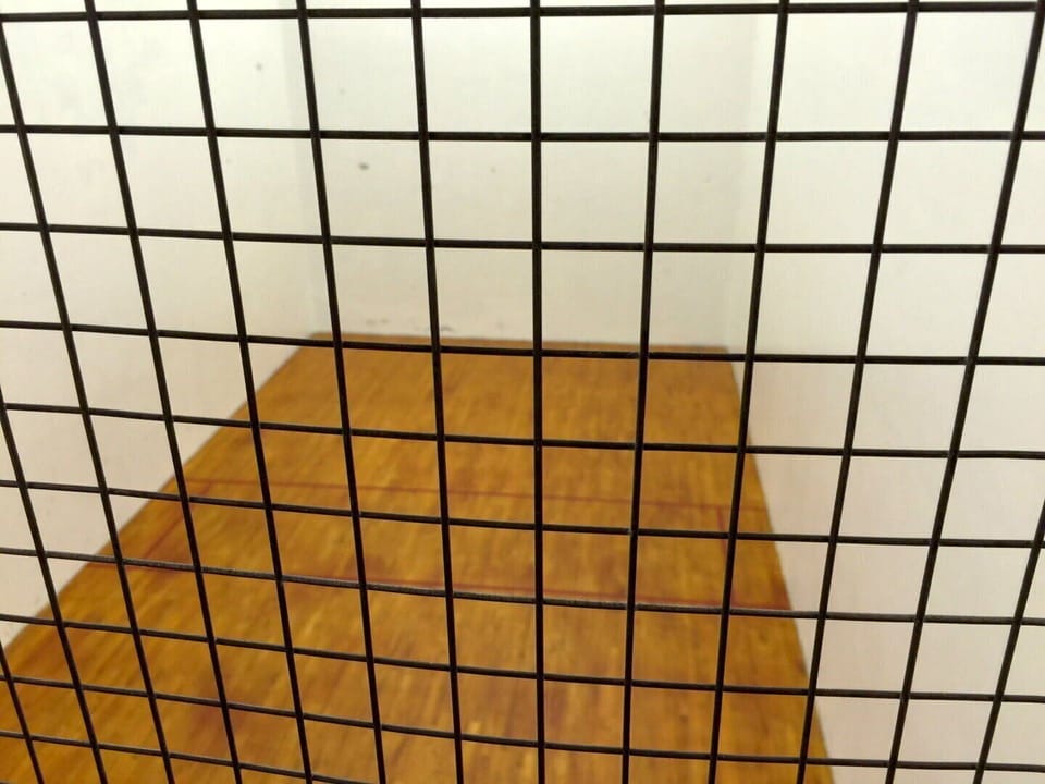 Floor, Flooring, Building, Indoors, Hardwood