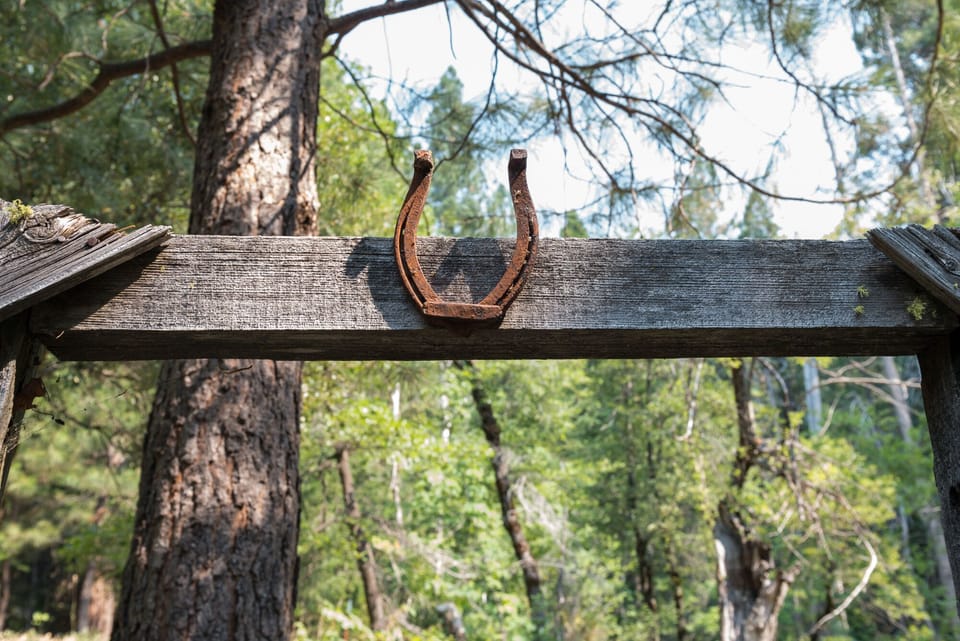Horseshoe on backyard gate