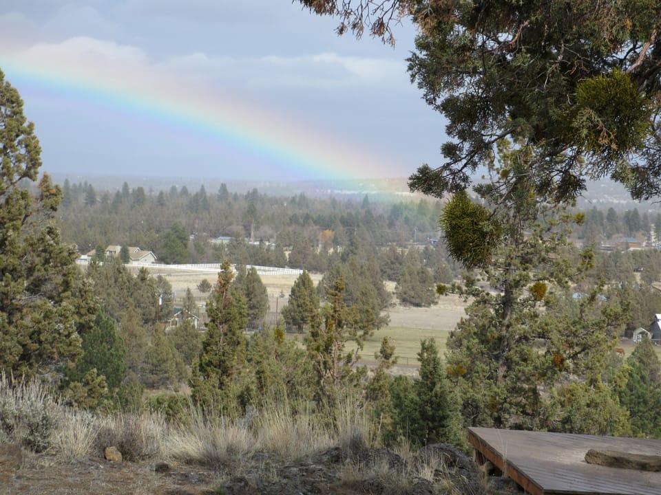 Rainbows are BIG at Farview Ridge!