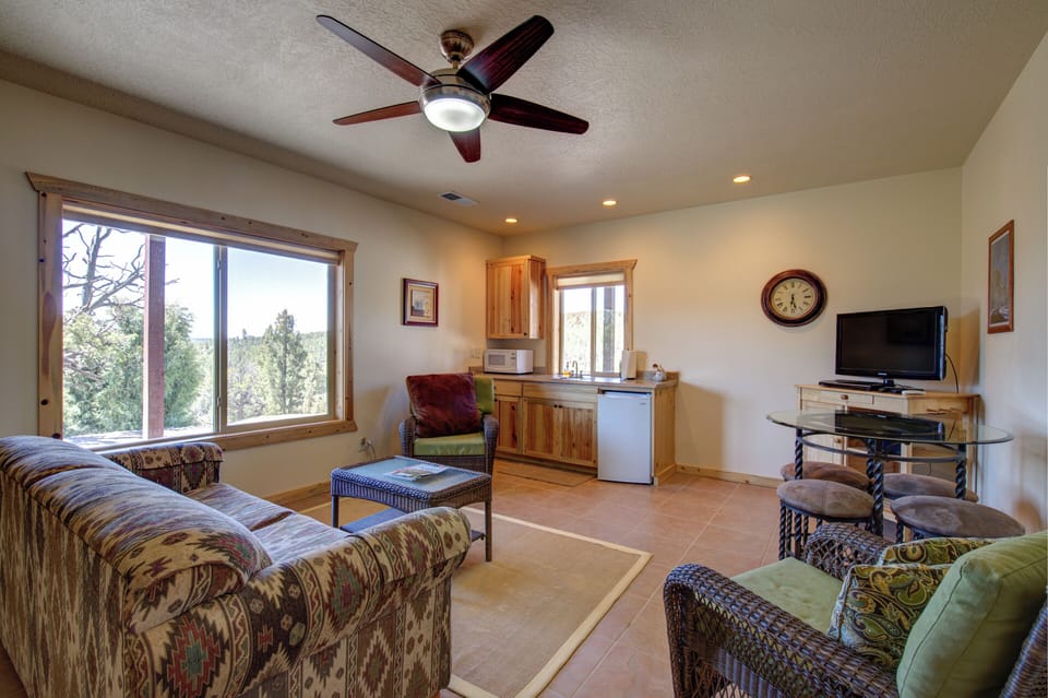 Second living room with kitchenette downstairs