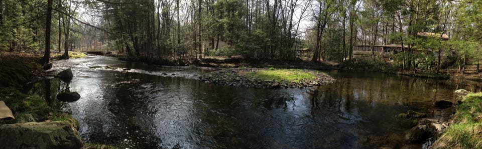Creek in Front of Cabin
