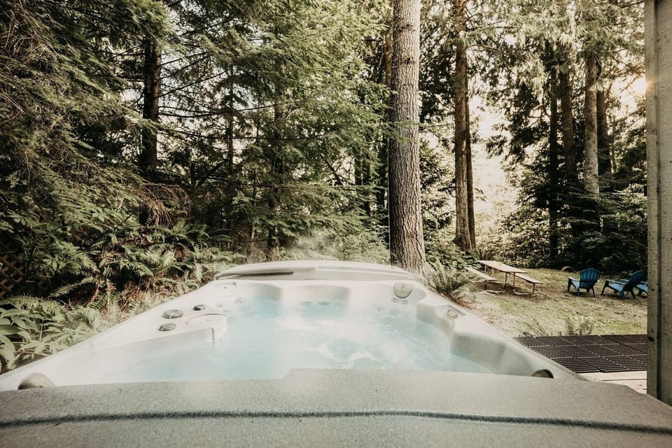 Vegetation, Grove, Land, Nature, Outdoors