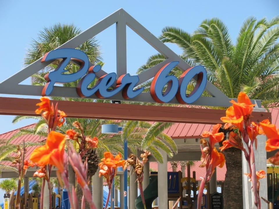 Lots of things to do at Pier 60 on clearwater beach