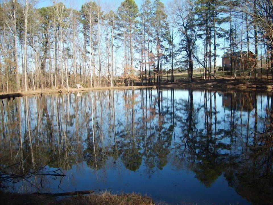 One of the ponds close to Doc's Place