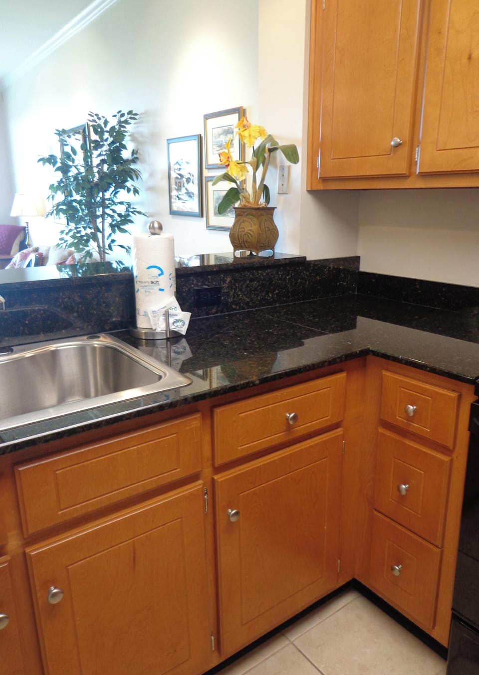 sink & countertop