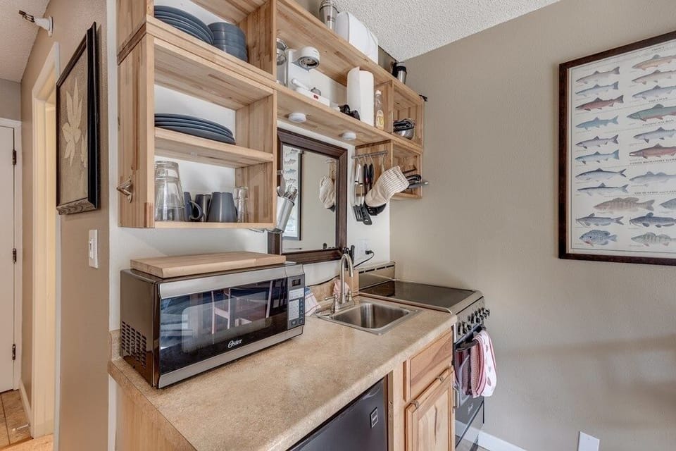 Indoors, Microwave, Oven, Sink, Painting