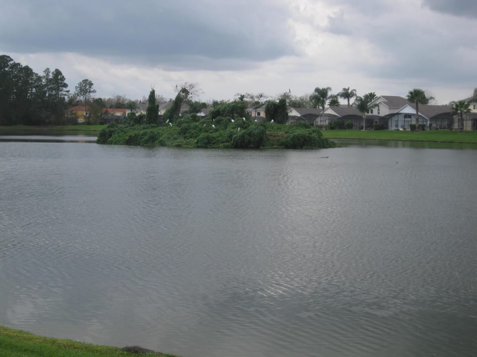 LAKE WHERE YOU CAN FISH 