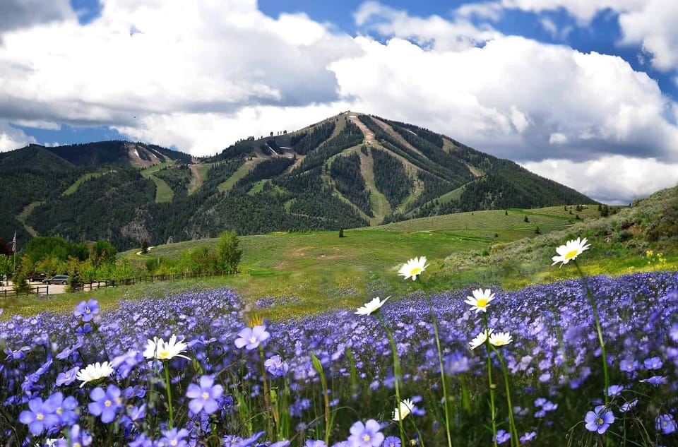 Baldy Mountain