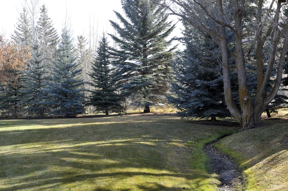 View from deck