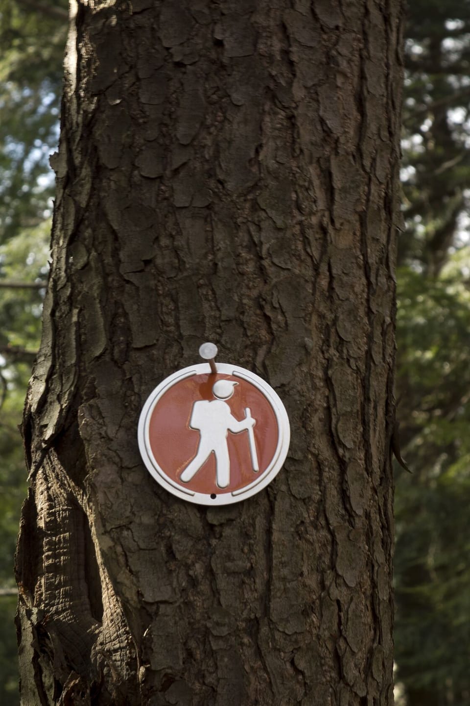 Hiking/cross-country ski trail on property