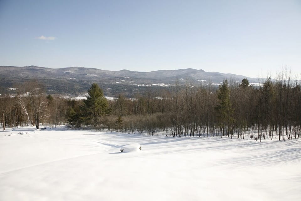 View from house in winter
