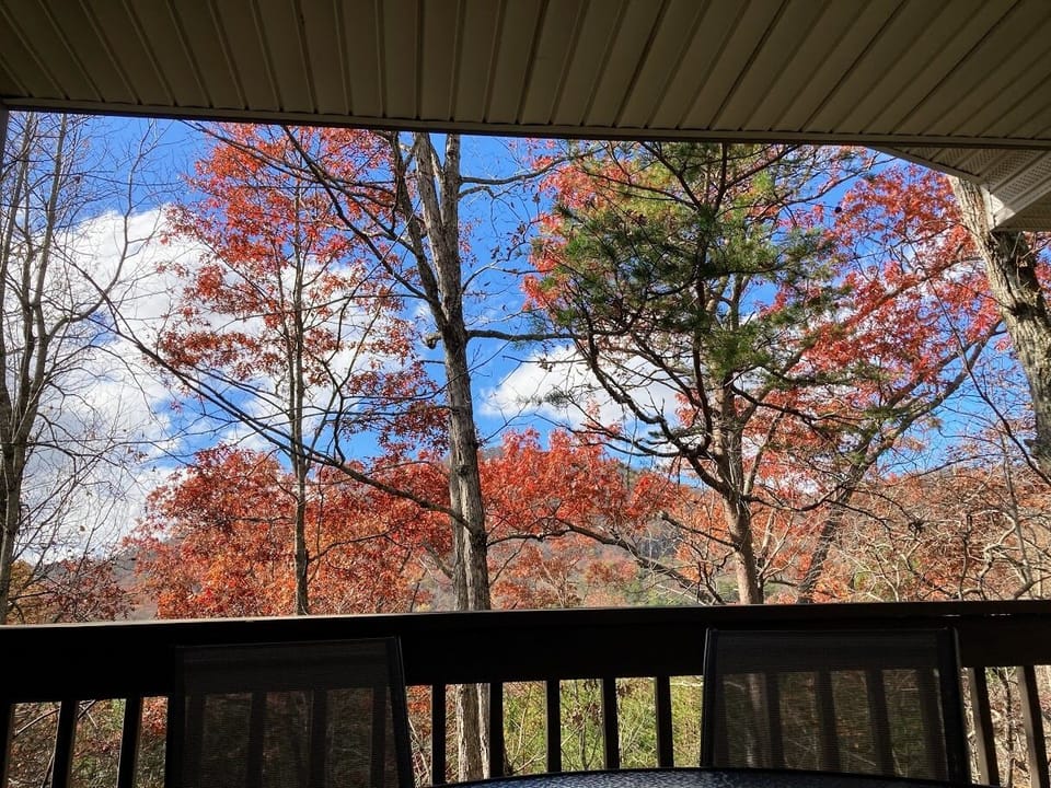 Upper Deck fall view from BBR. 