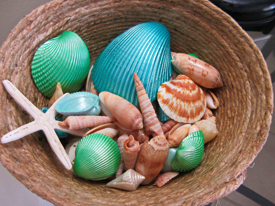 shell basket