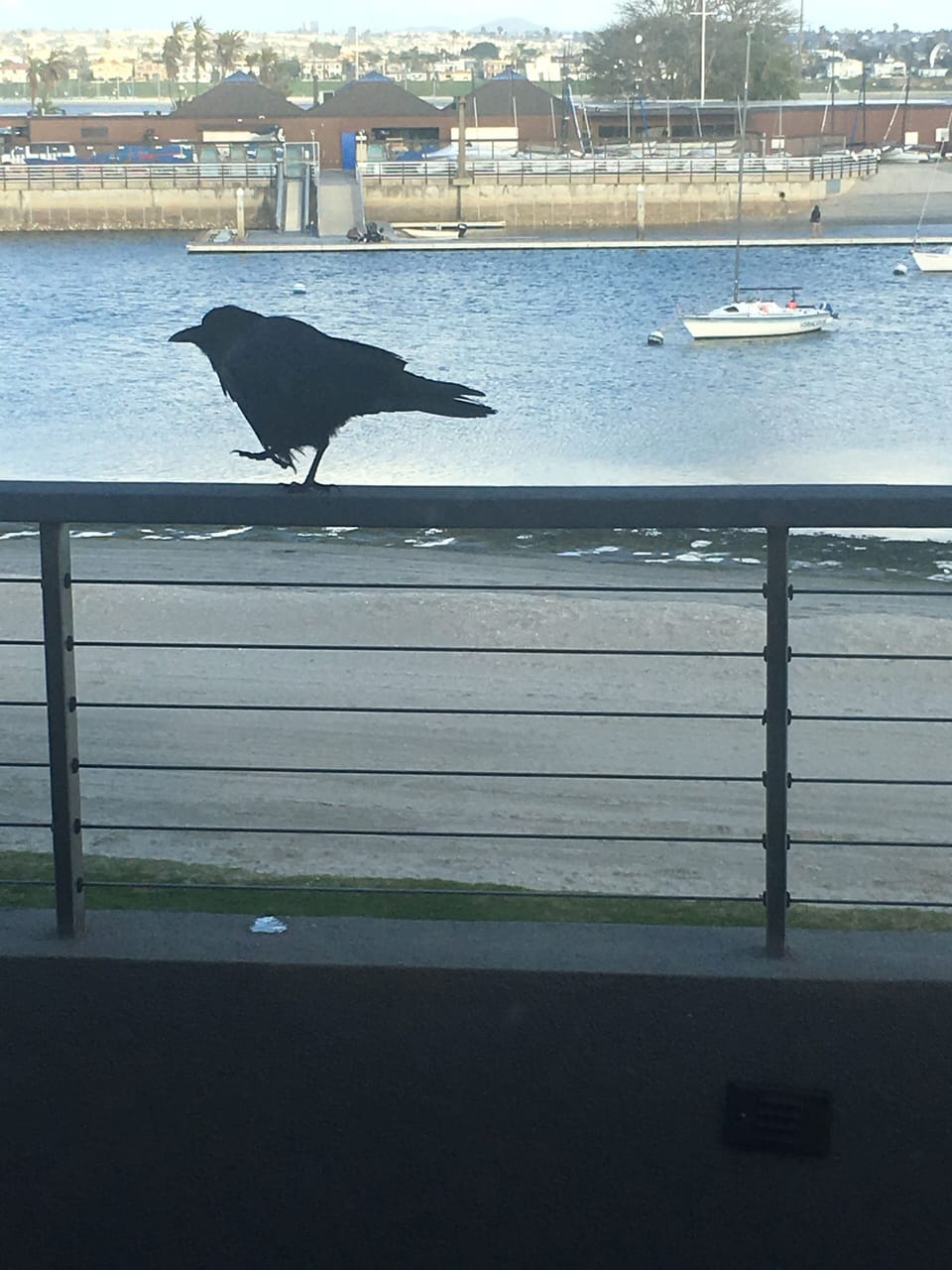 Everyone loves the view!