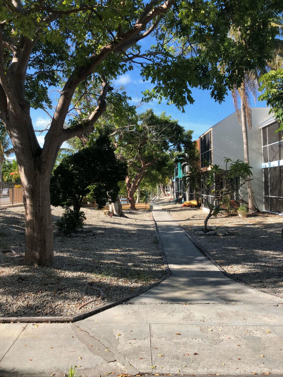 Walkway out of unit leading to swimming lagoon and two pools