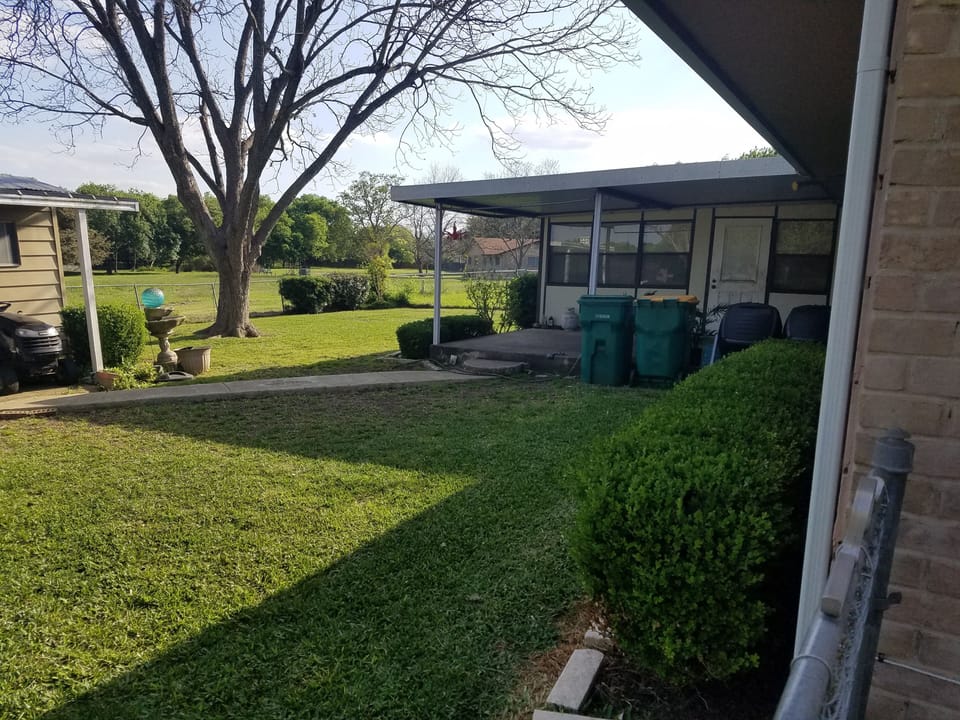 BACK YARD