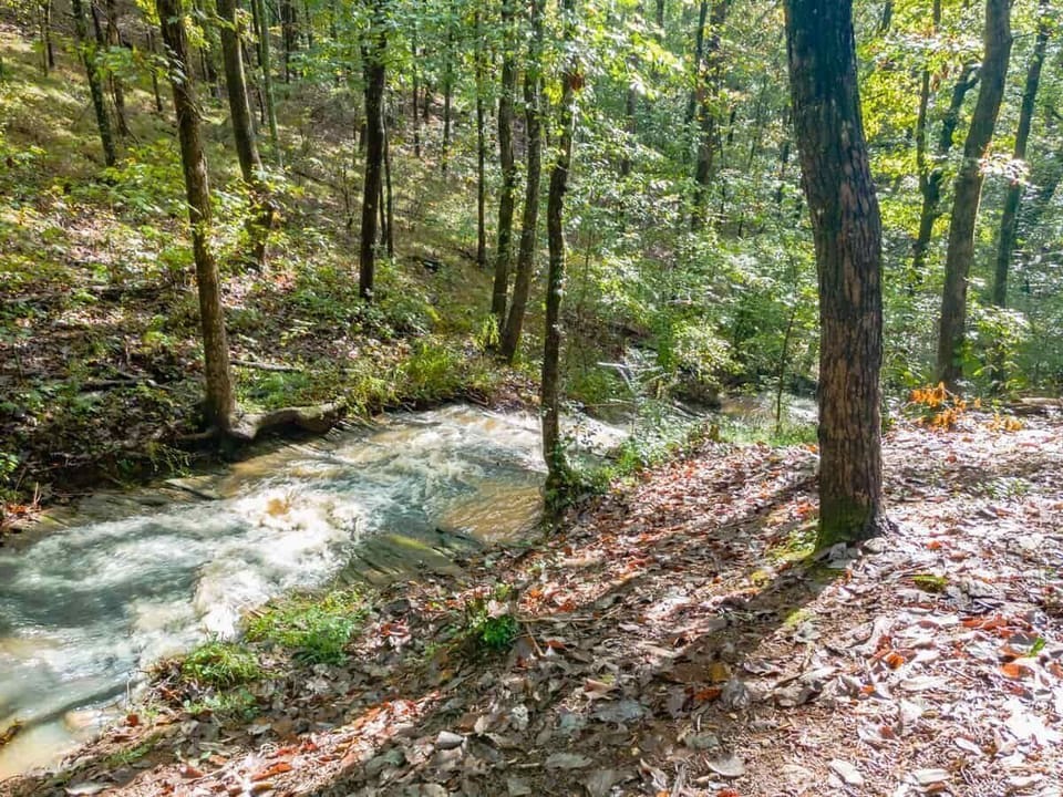 Path to Base of Creek.  There Has Been Weddings Held at Base