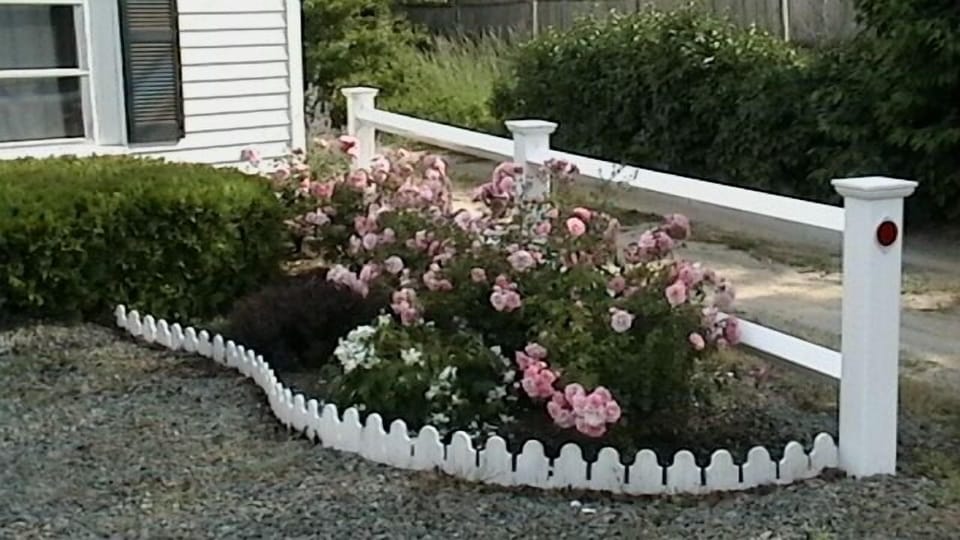 Rose Garden