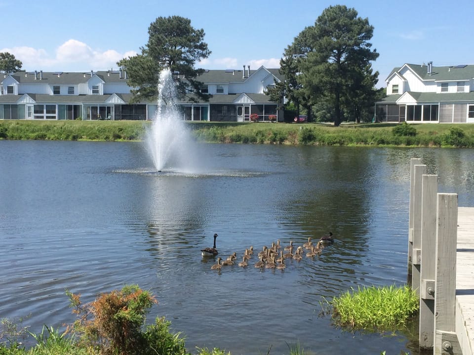 A great family vacation spot!