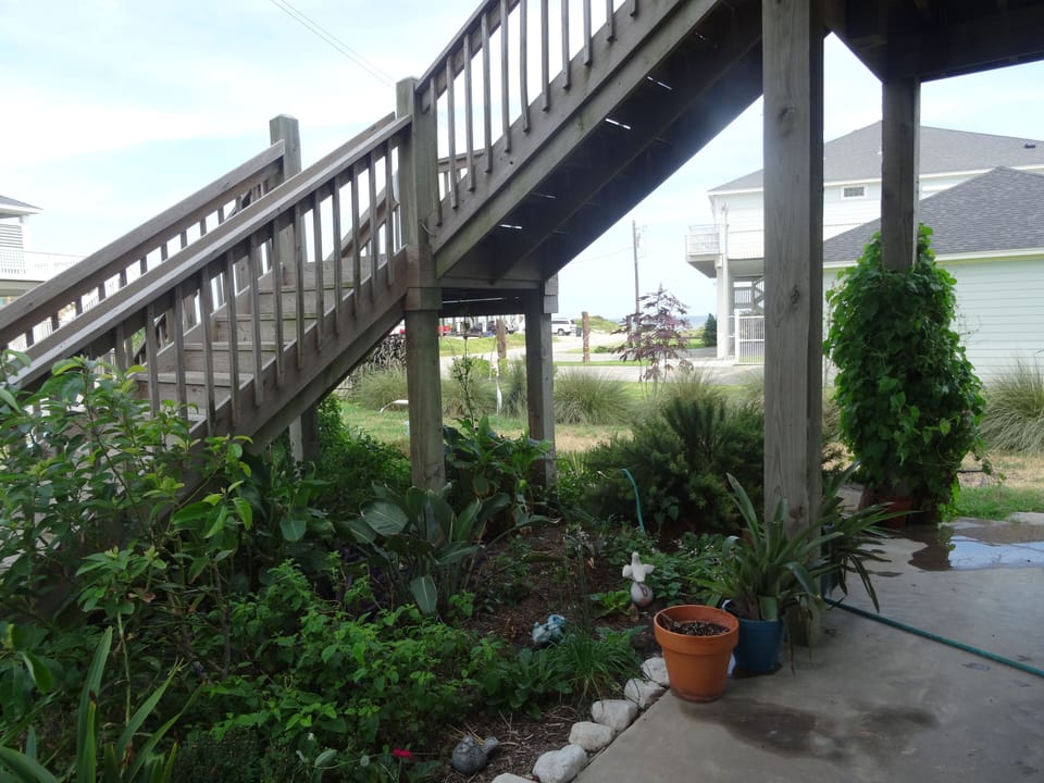 beautifully landscaped yard