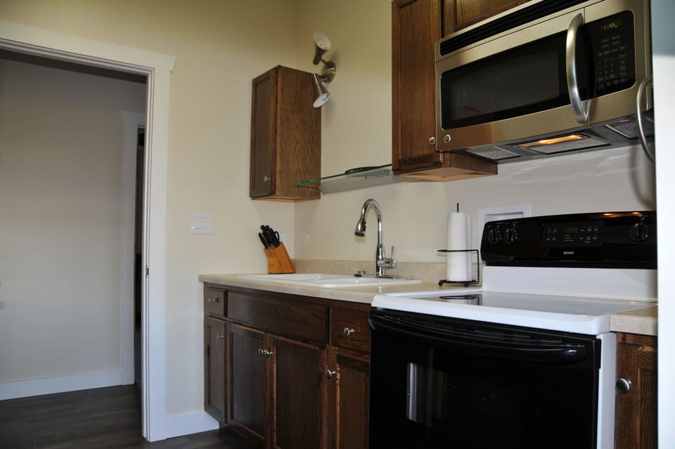 Grizzly Suite kitchen area with stove, microwave and sink