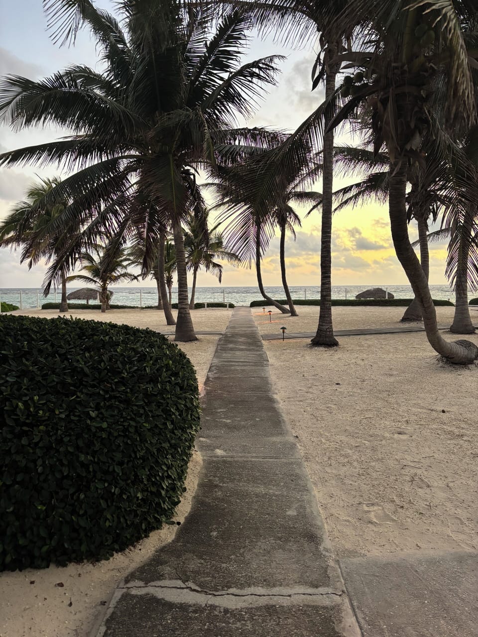 The walkway leading out to our beach.