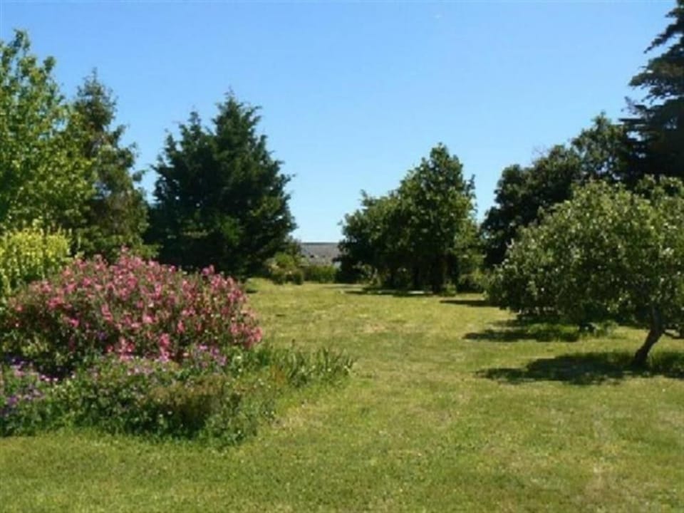 Garden, Park