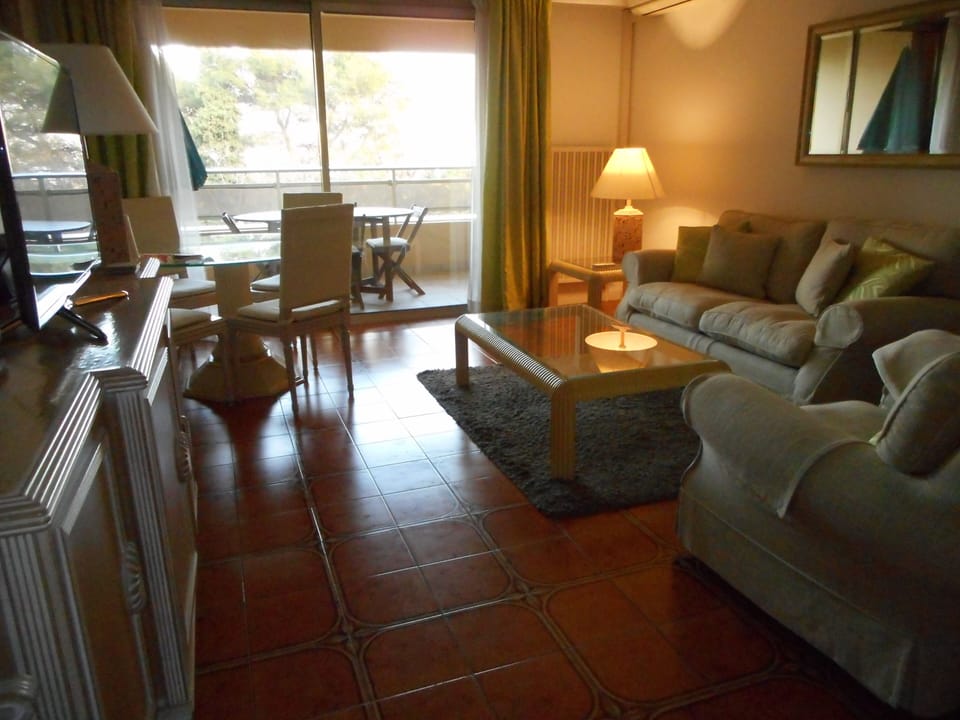 Lounge and terrace