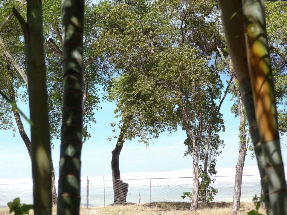 Approach to Prospect Beach