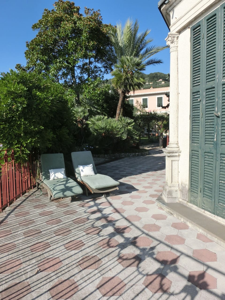 the terrace