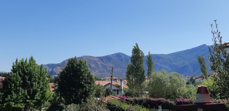 Looking towards the mountains at the back of the villa