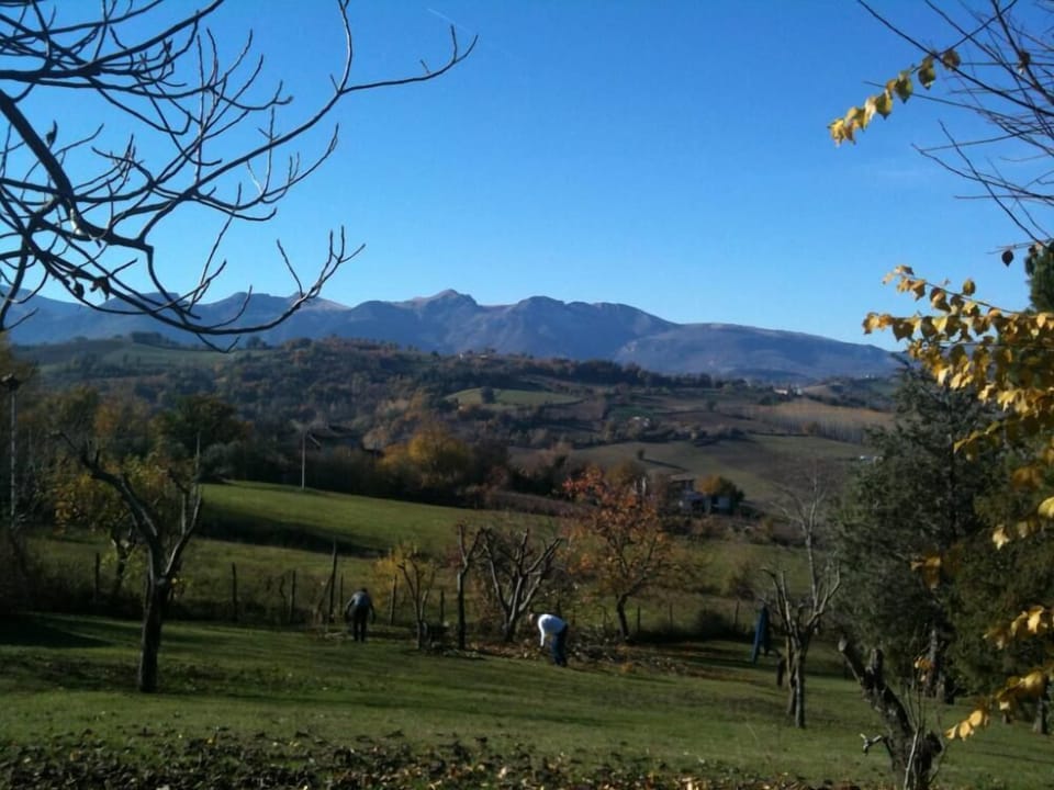 Mountain view