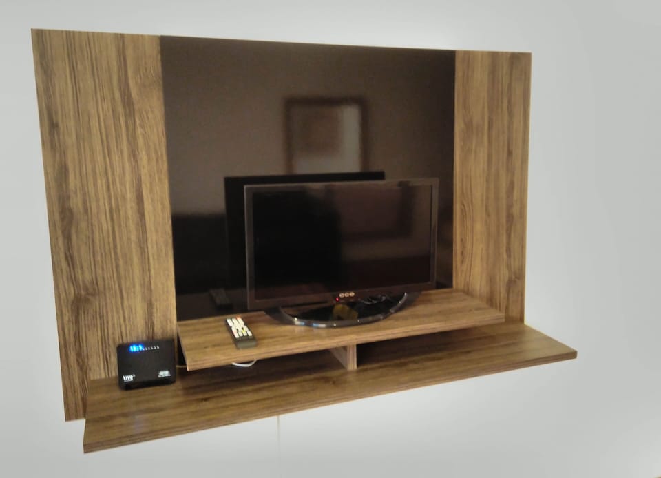 Television