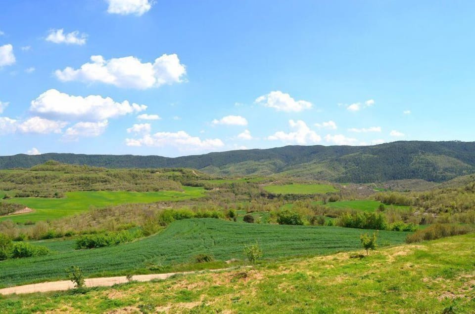 The very beautiful view from the top terrace
