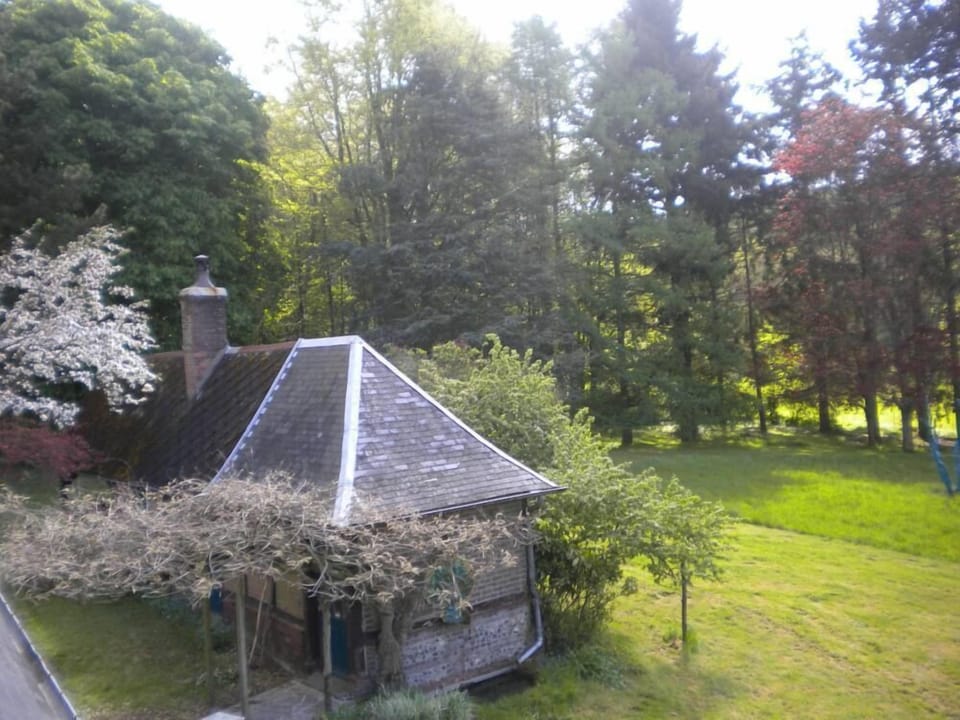 Garden, Park