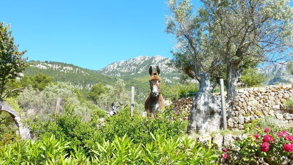 Our friendly neighbour!
