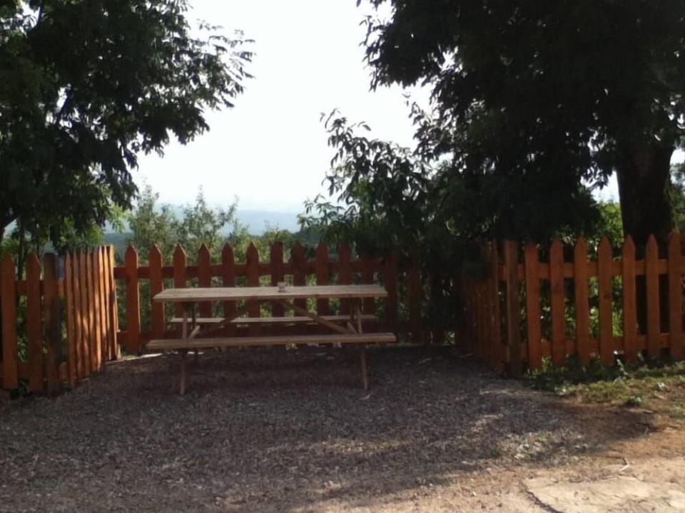 Garden, Park