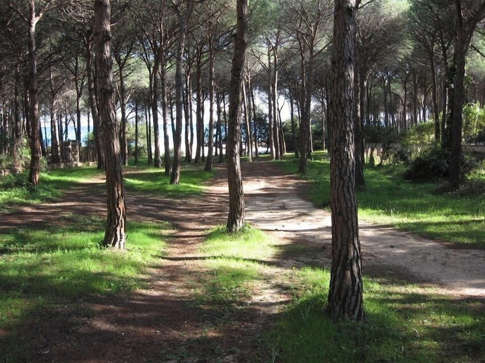 Path to the beach: 150 mts away