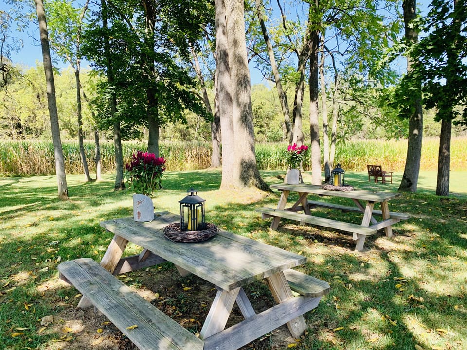 Picnic tables in the grove to enjoy a nice picnic lunch