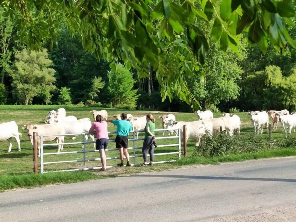 Adults are also happy to see the animals