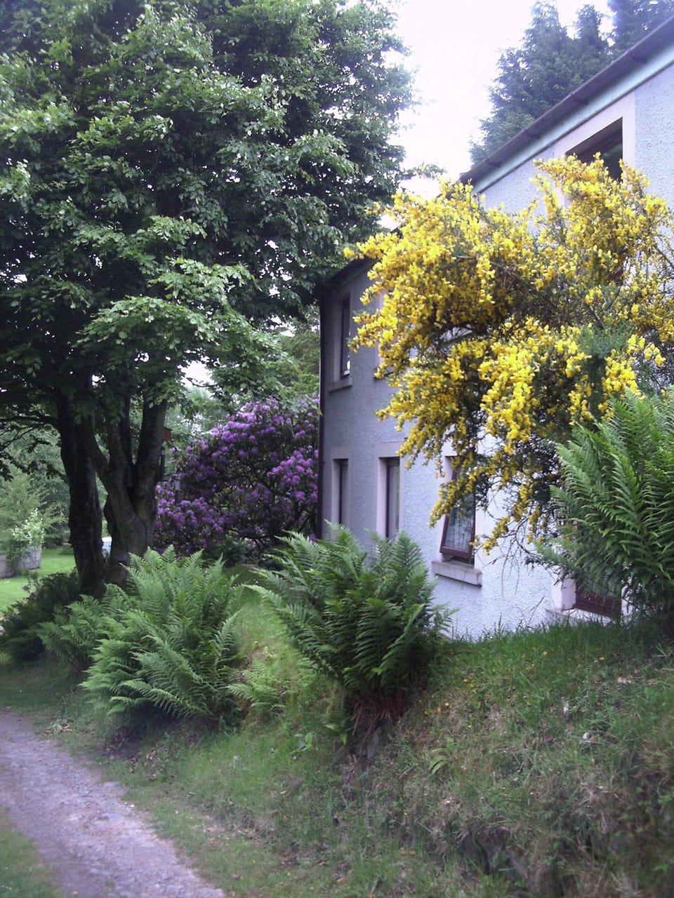 View of Treetops