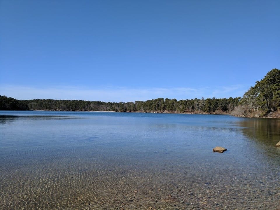 FlaxPond
