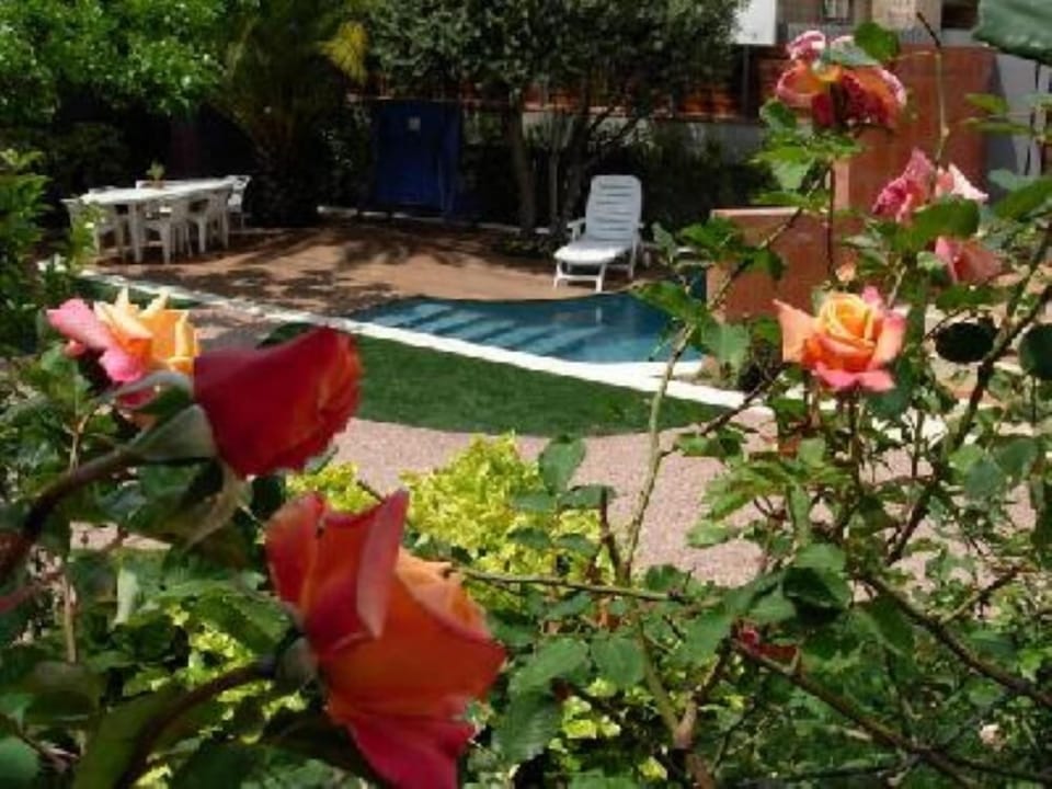 Garden, Park