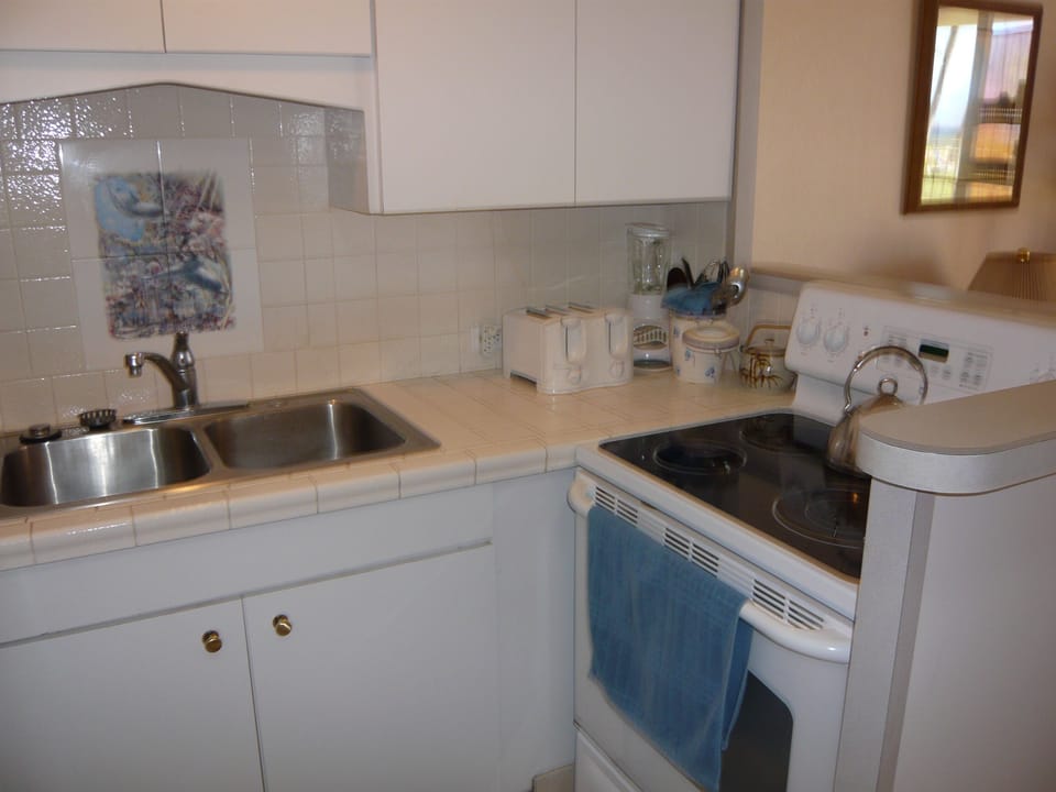Glass top stove