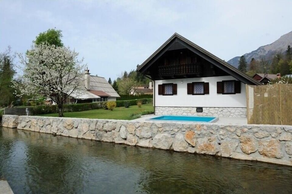 A view to the crystal river Kokra Slovenia